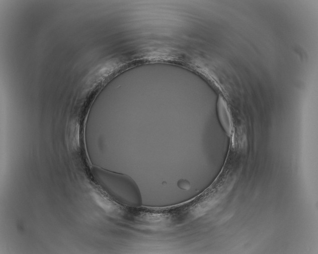 X0000110990205200907101437