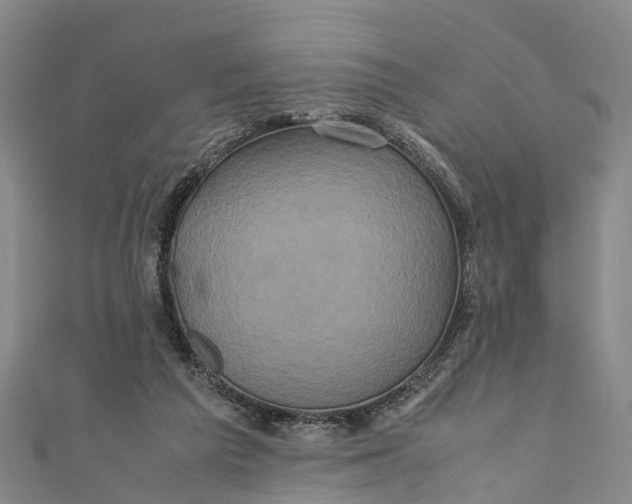 X0000110990209200907101437