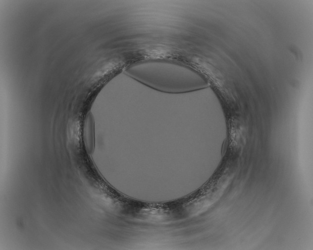 X0000110990211200907101437