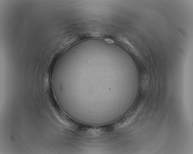 X0000110990213200907101437