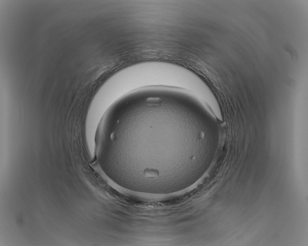 X0000110990215200907101437