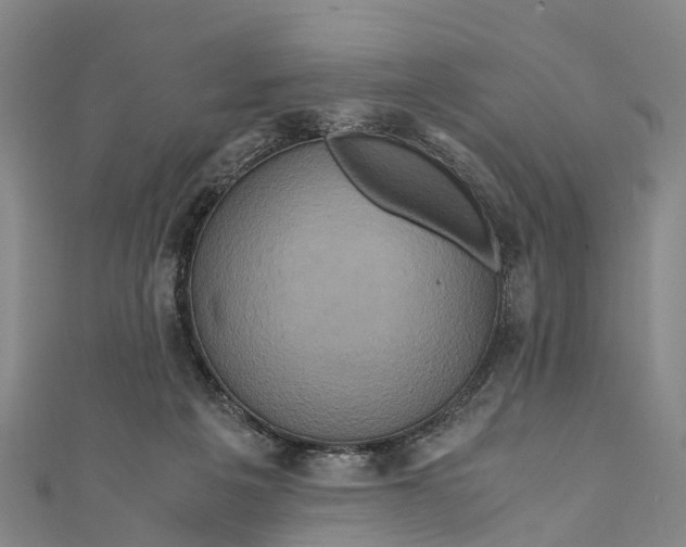X0000110990217200907101437
