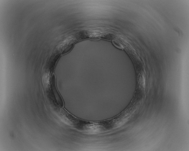 X0000110990219200907101437
