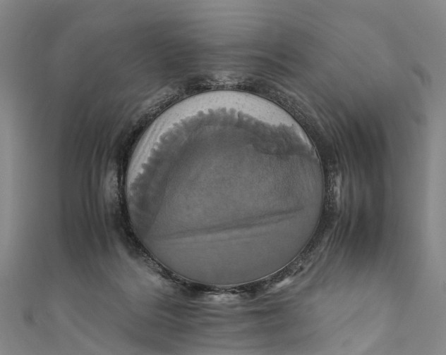 X0000110990220200907101437