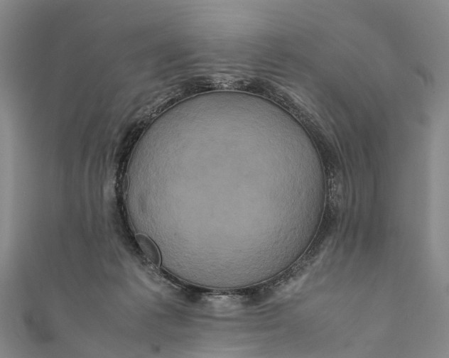 X0000110990221200907101437