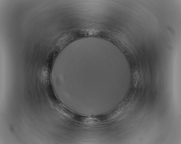 X0000110990222200907101437
