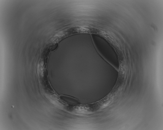 X0000110990223200907101437