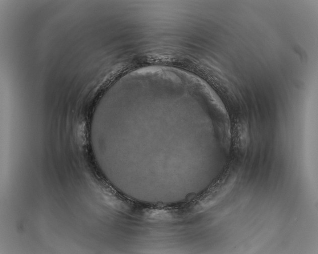 X0000110990224200907101437