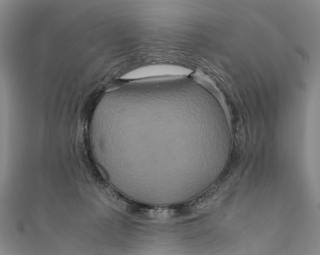 X0000110990225200907101437