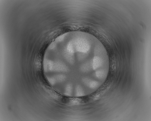 X0000110990226200907101437