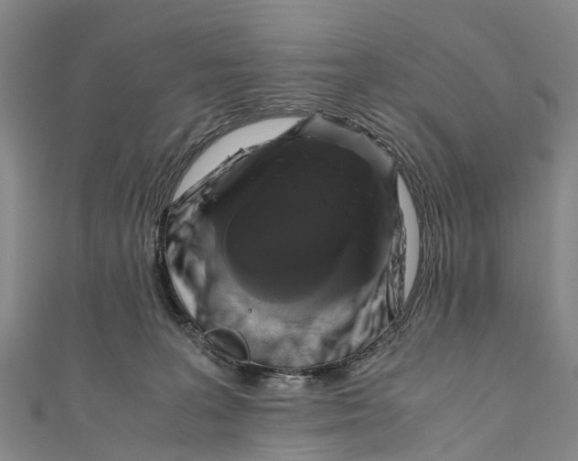 X0000110990227200907101437