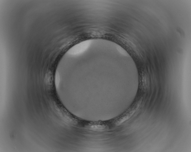 X0000110990228200907101437