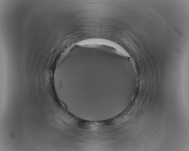 X0000110990229200907101437