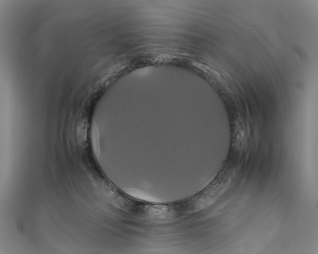 X0000110990230200907101437