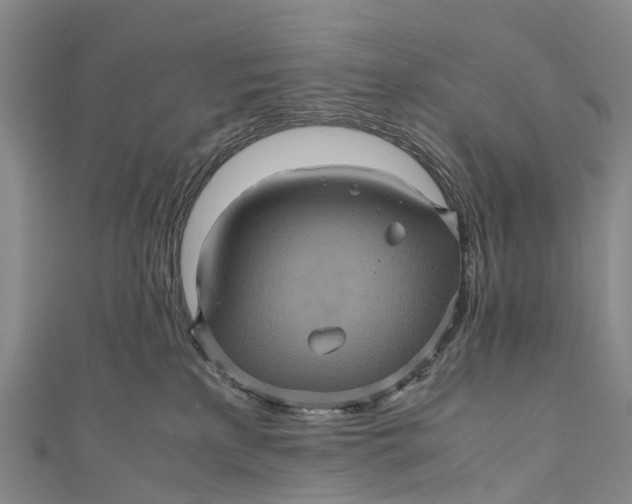 X0000110990233200907101437