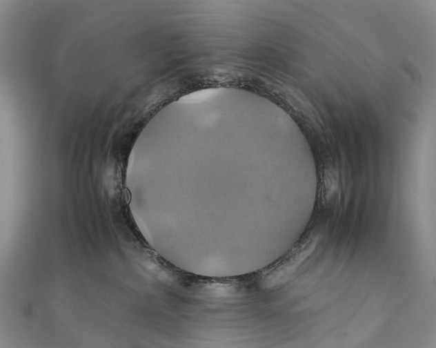 X0000110990236200907101437