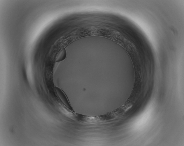 X0000110990239200907101437