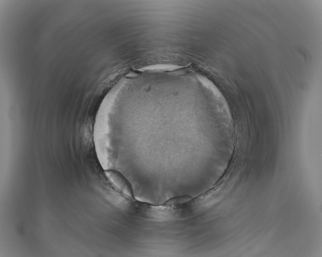 X0000110990240200907101437