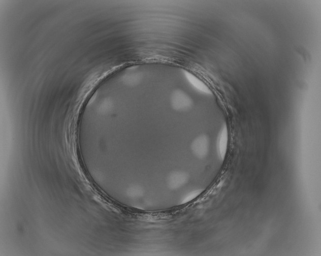 X0000110990241200907101436