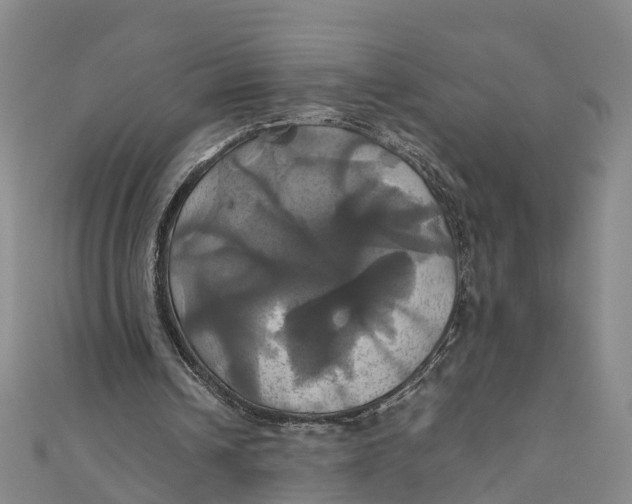 X0000110990242200907101436