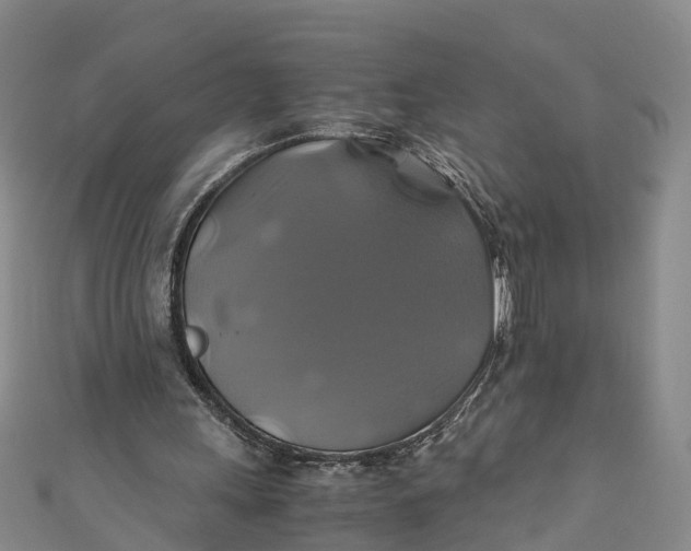 X0000110990243200907101436