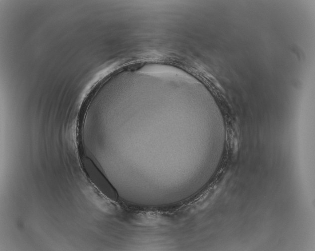 X0000110990244200907101436