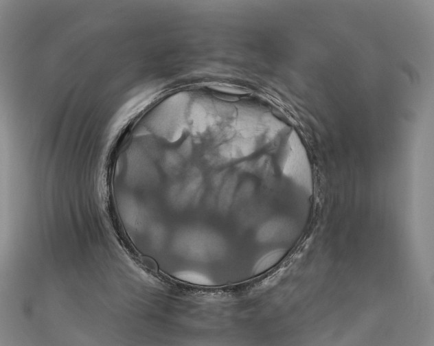 X0000110990245200907101436