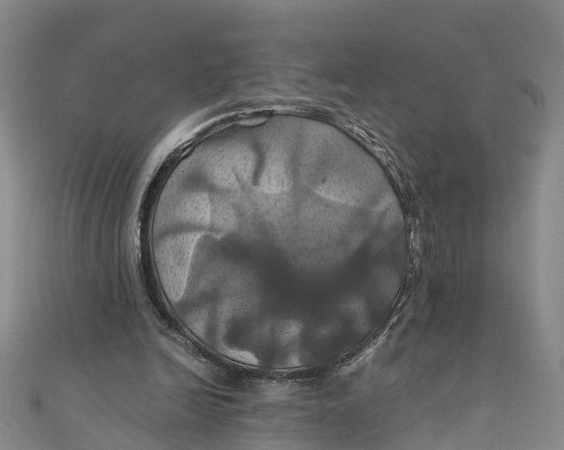 X0000110990246200907101436