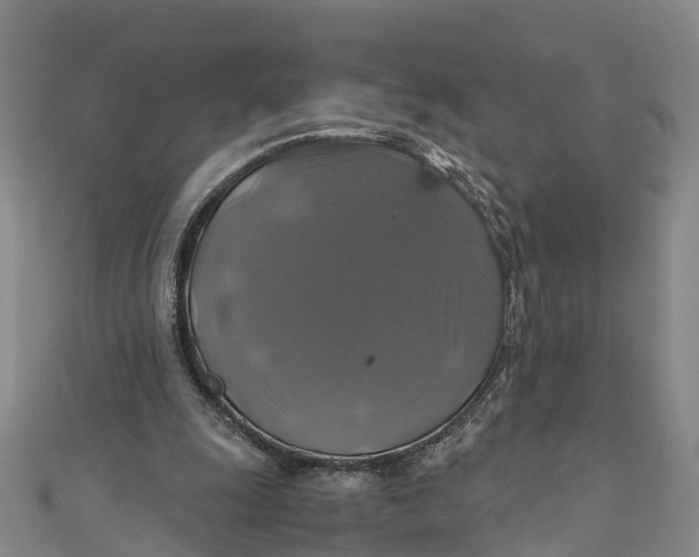 X0000110990247200907101436