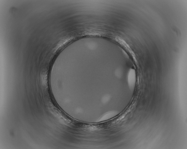 X0000110990249200907101436