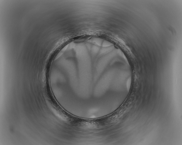 X0000110990250200907101436