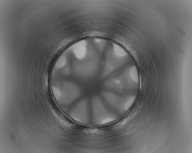 X0000110990253200907101437
