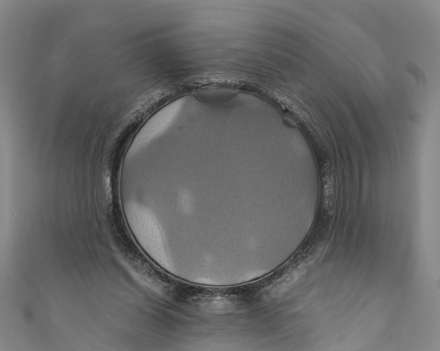 X0000110990254200907101437