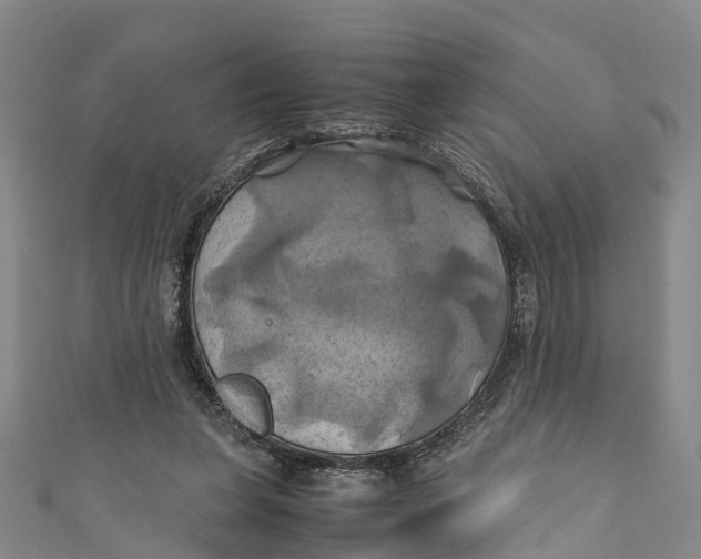 X0000110990255200907101437