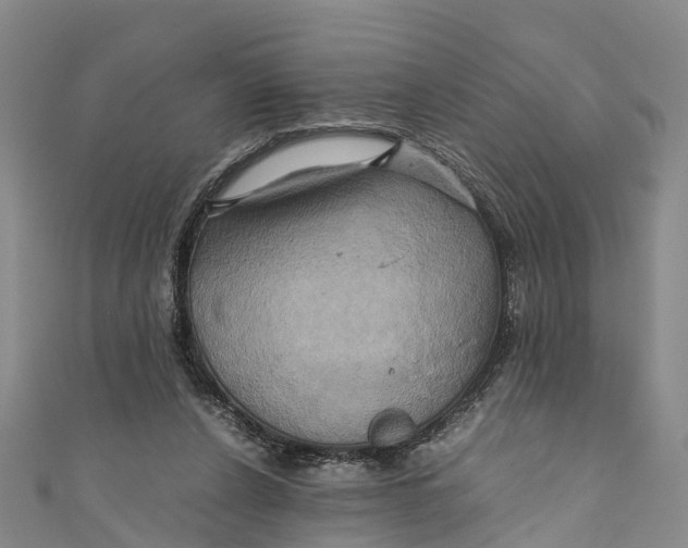 X0000110990256200907101437