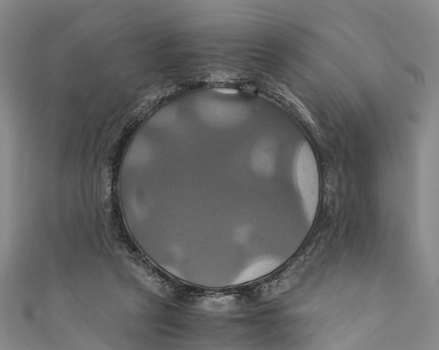X0000110990257200907101437