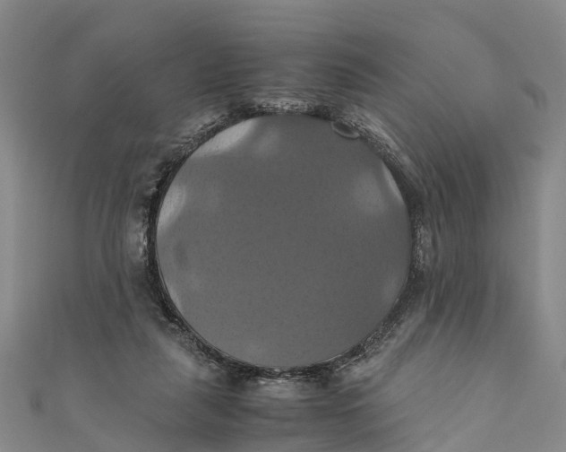 X0000110990259200907101437