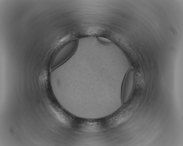 X0000110990260200907101437