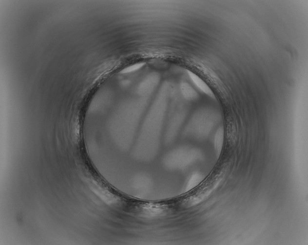 X0000110990261200907101437