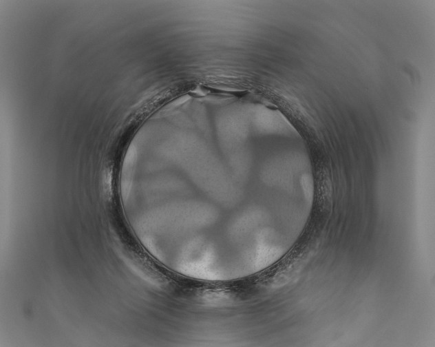 X0000110990262200907101437