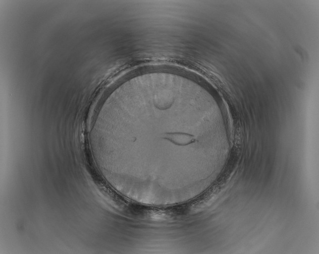 X0000110990264200907101437