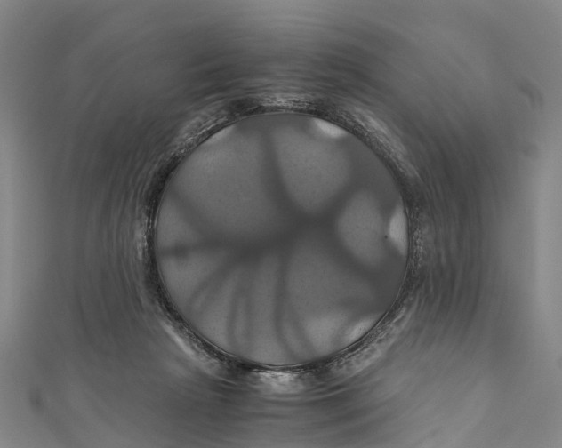X0000110990265200907101437