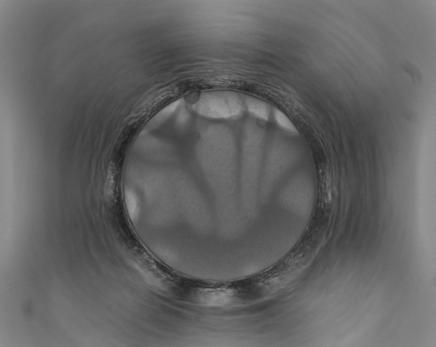 X0000110990266200907101437