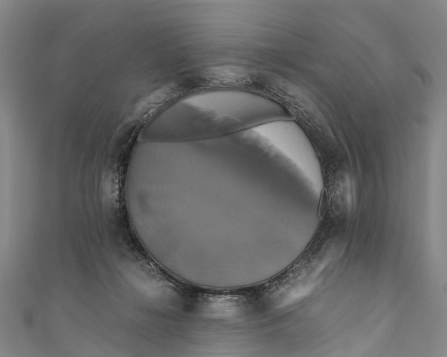 X0000110990268200907101437