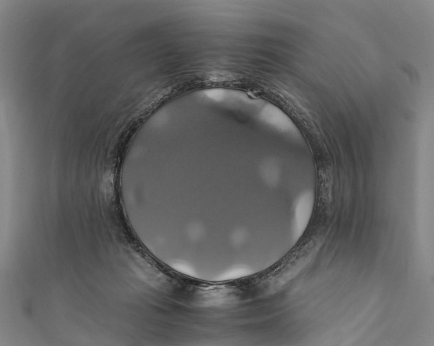 X0000110990269200907101437