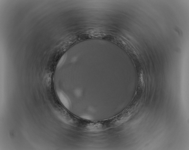 X0000110990271200907101437