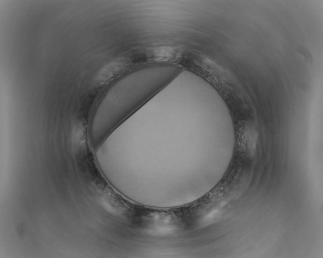 X0000110990272200907101437