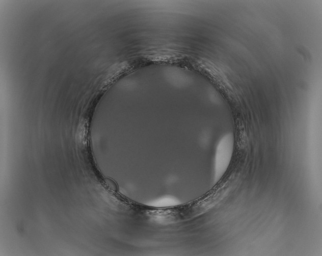 X0000110990273200907101437
