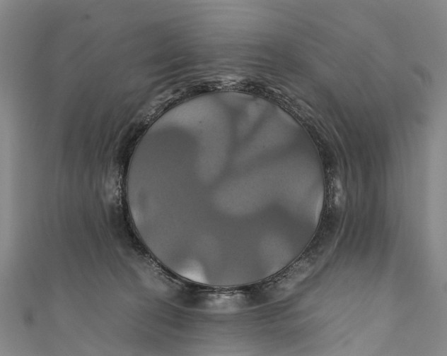 X0000110990274200907101437