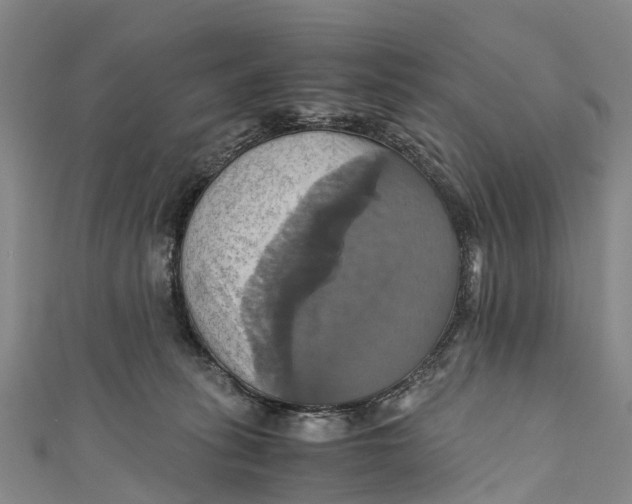 X0000110990275200907101437